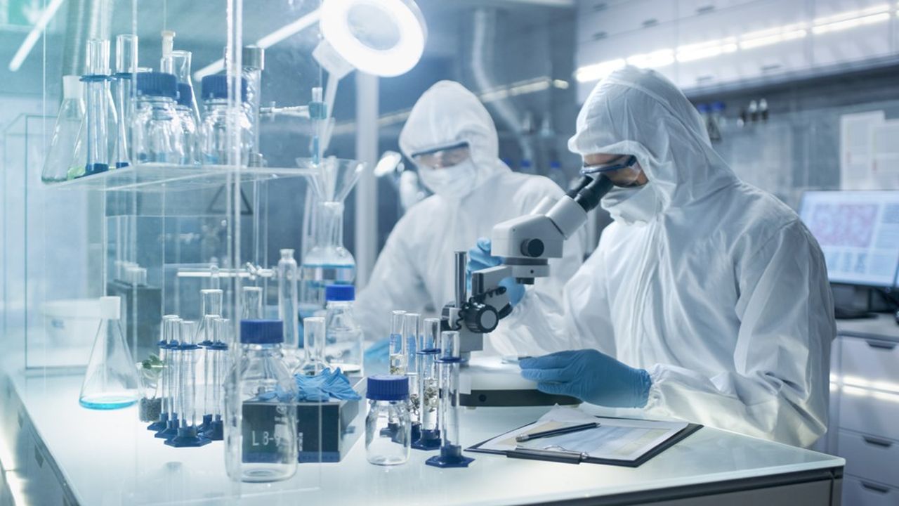 NaturaCorp entreprise